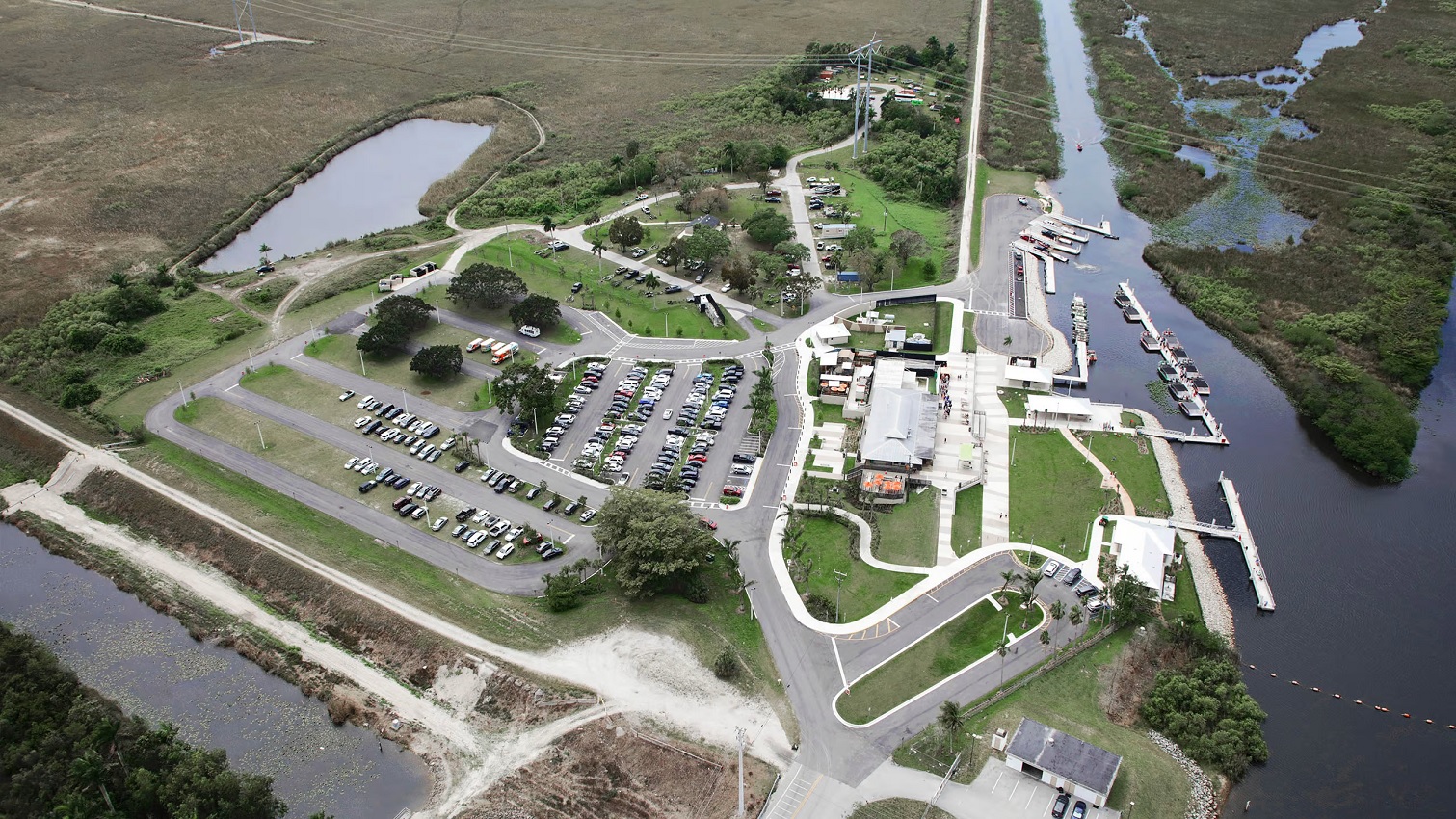 Airboat on Everglades waterway with alligators and wildlife in natural habitat